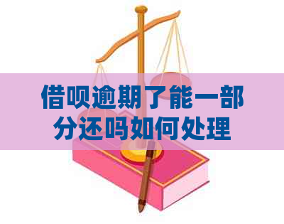 网贷逾期了能一部分还吗如何处理