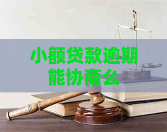 小额贷款逾期能协商么