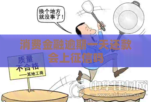 消费金融逾期一天还款会上吗