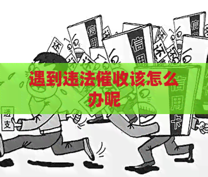 遇到违法该怎么办呢