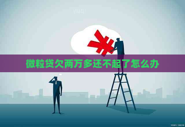微粒贷欠两万多还不起了怎么办