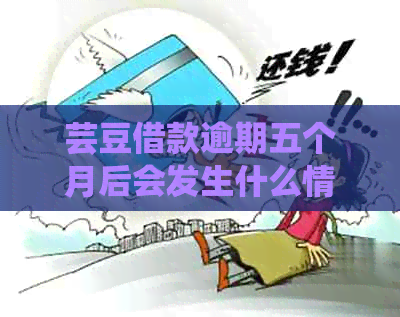 芸豆借款逾期五个月后会发生什么情况