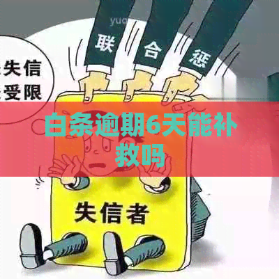 白条逾期6天能补救吗
