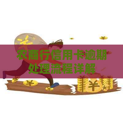 农商行信用卡逾期处理流程详解