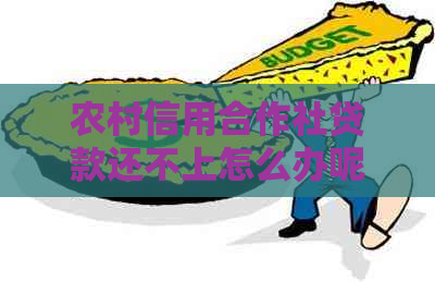 农村信用合作社贷款还不上怎么办呢!