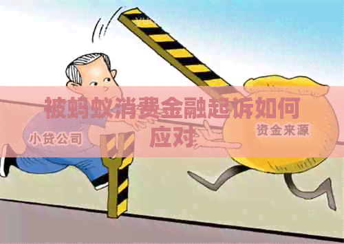 被蚂蚁消费金融起诉如何应对