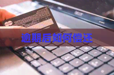 逾期后如何偿还