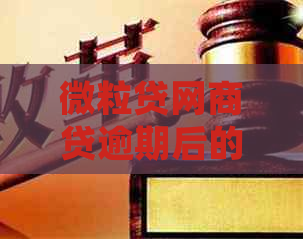 微粒贷网商贷逾期后的处理方式是什么