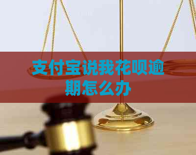 支付宝说我花呗逾期怎么办