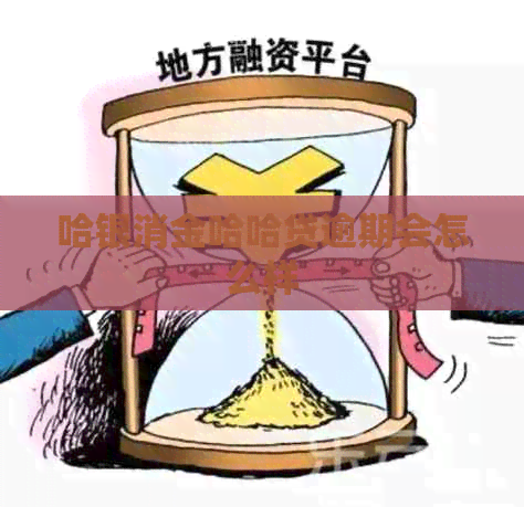 哈银消金哈哈贷逾期会怎么样