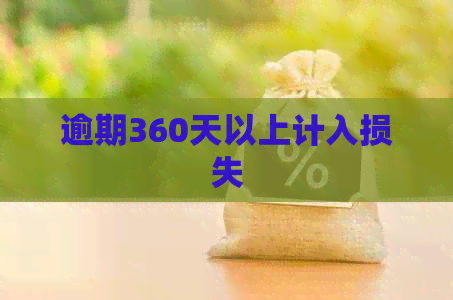 逾期360天以上计入损失