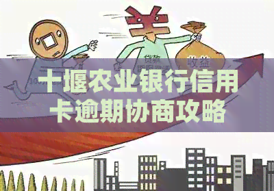 十堰农业银行信用卡逾期协商攻略