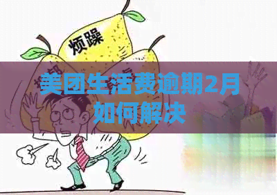 美团生活费逾期2月如何解决