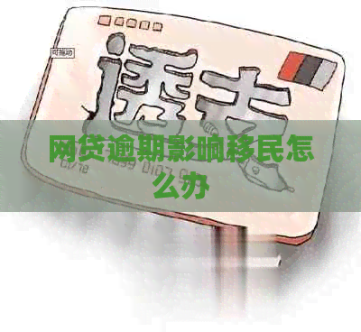 网贷逾期影响移民怎么办