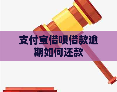 支付宝网贷借款逾期如何还款