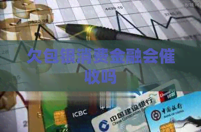 欠包银消费金融会吗