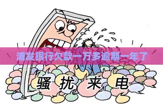 浦发银行欠款一万多逾期一年了