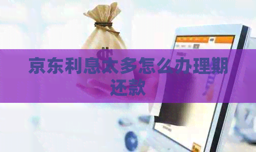 京东利息太多怎么办理期还款