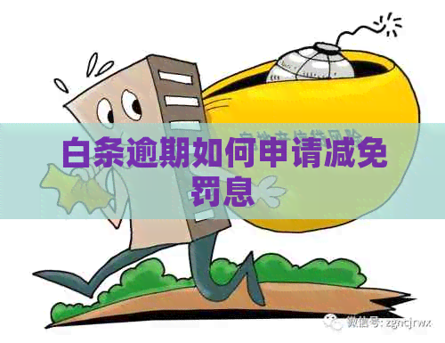 白条逾期如何申请减免罚息