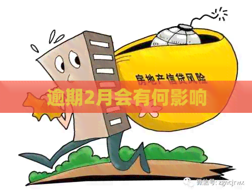 逾期2月会有何影响