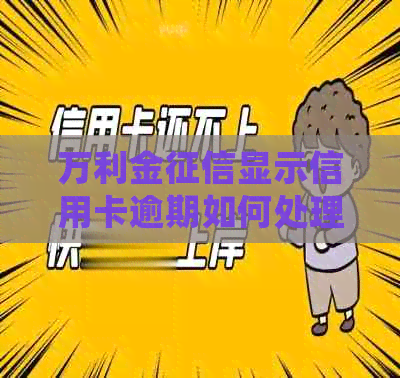 万利金显示信用卡逾期如何处理