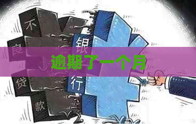 逾期了一个月