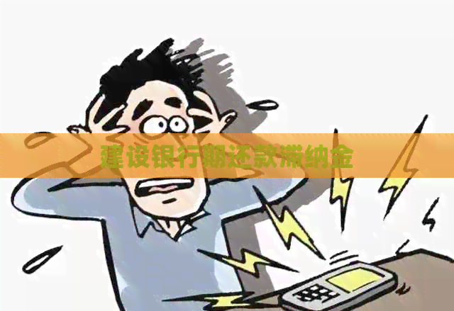 建设银行期还款滞纳金