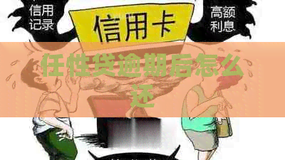 任性贷逾期后怎么还