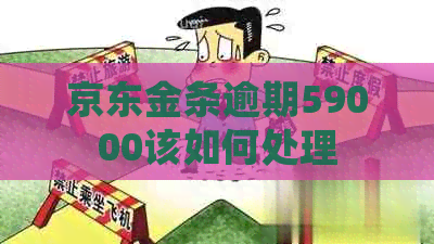 京东金条逾期59000该如何处理