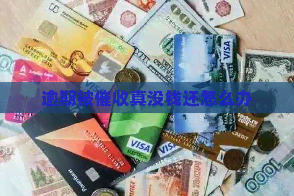 逾期被真没钱还怎么办
