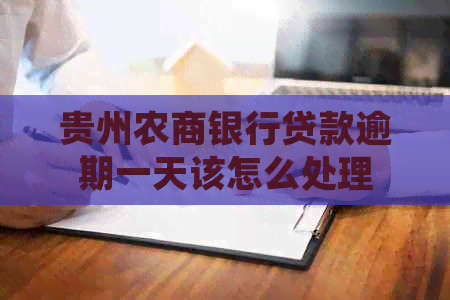贵州农商银行贷款逾期一天该怎么处理