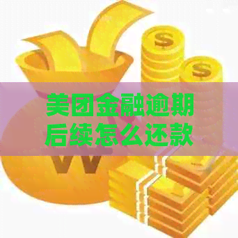 美团金融逾期后续怎么还款操作步骤