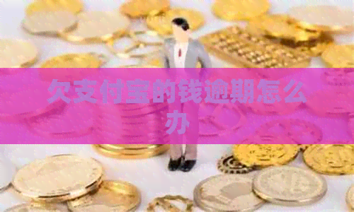 欠支付宝的钱逾期怎么办