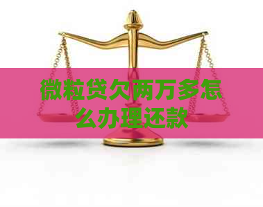 微粒贷欠两万多怎么办理还款