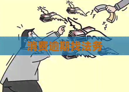 消费逾期找法务