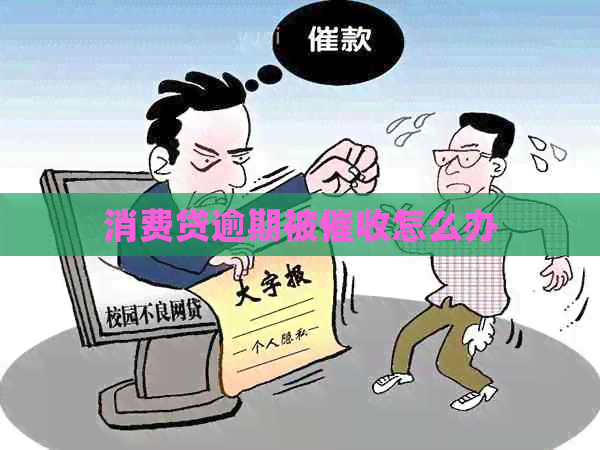 消费贷逾期被怎么办