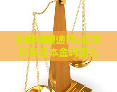 信用卡网贷逾期3年可以只还本金吗怎么办