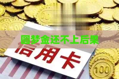 圆梦金还不上后果