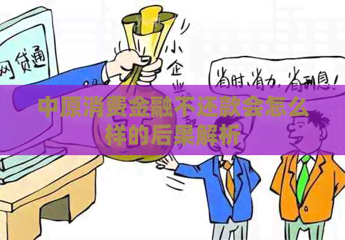 中原消费金融不还款会怎么样的后果解析