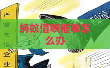 蚂蚁网贷怎么办