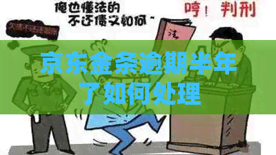 京东金条逾期半年了如何处理