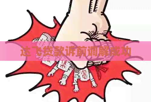 达飞贷款诉前调解成功