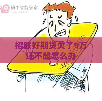 招联好期贷欠了9万还不起怎么办