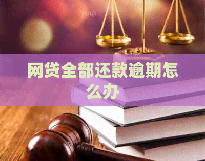 网贷全部还款逾期怎么办