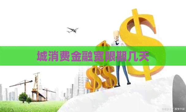 城消费金融宽限期几天