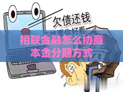 招联金融怎么协商本金分期方式