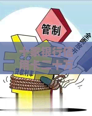 十家银行信用卡二十万逾期