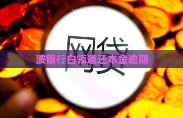 波银行白领通还本金逾期
