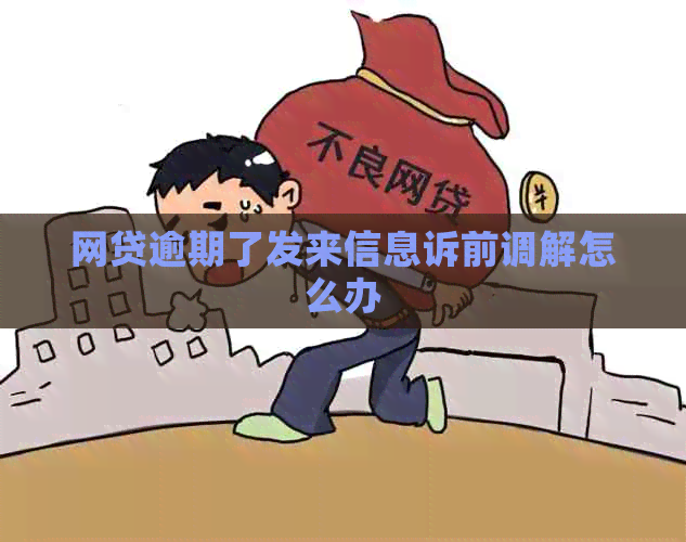 网贷逾期了发来信息诉前调解怎么办