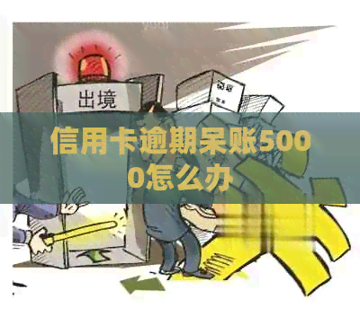 信用卡逾期呆账5000怎么办